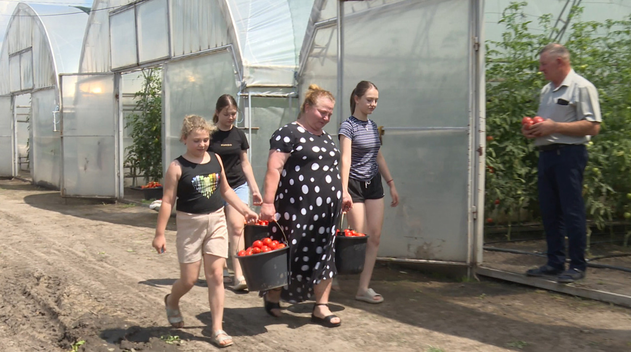 Family business builds 10 modernized greenhouses, expands crops with EU and state support