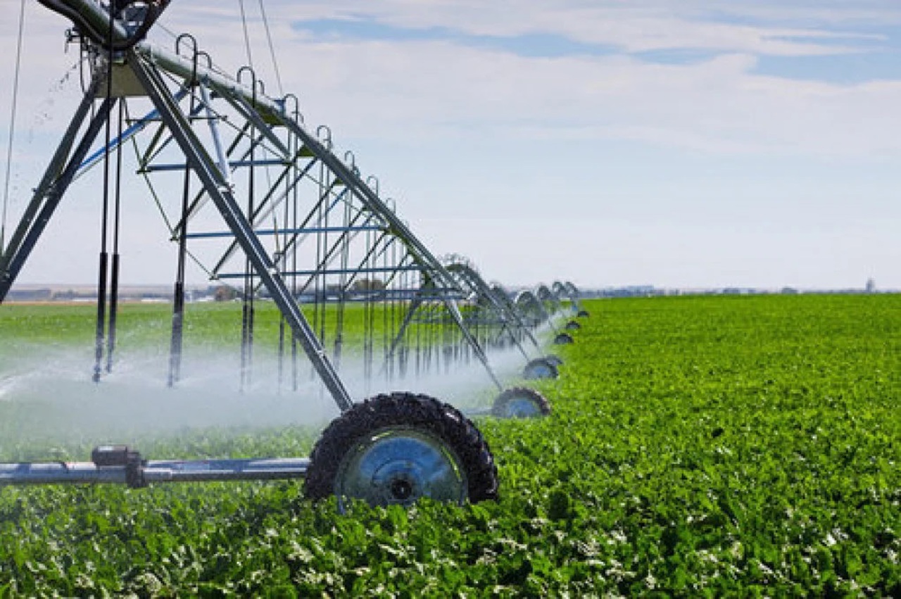 Moldova Invests in Irrigation for Agriculture