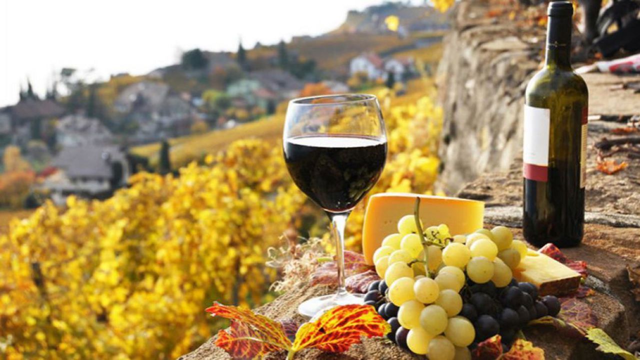 Record Year for Moldovan Wine & Grape Exports