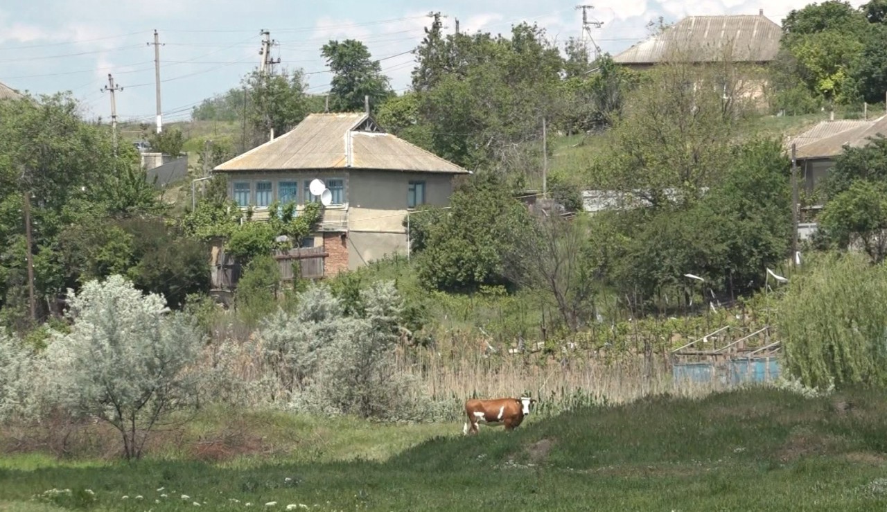 Locuitorii din peste 30 de localități din raionul Cahul au primit furaje pentru animale
