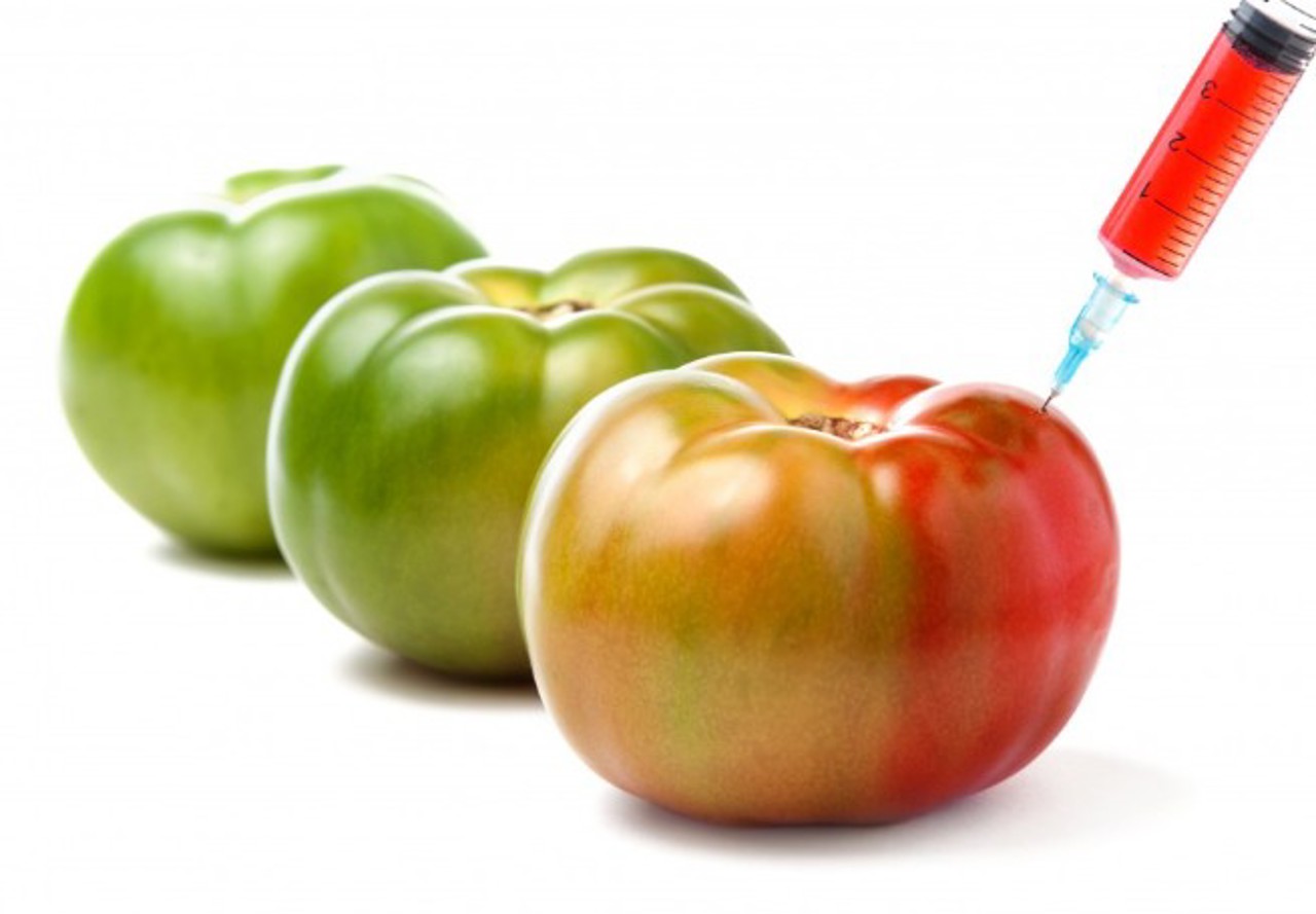 Ce riscă R. Moldova, dacă va permite cultivarea organismelor modificate genetic: „Poate afecta securitatea alimentară și agricolă”