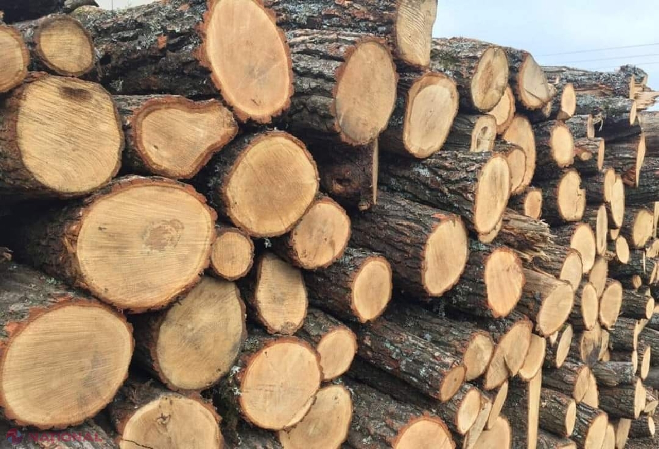 Stocks of firewood will be replenished in Moldova before the cold season