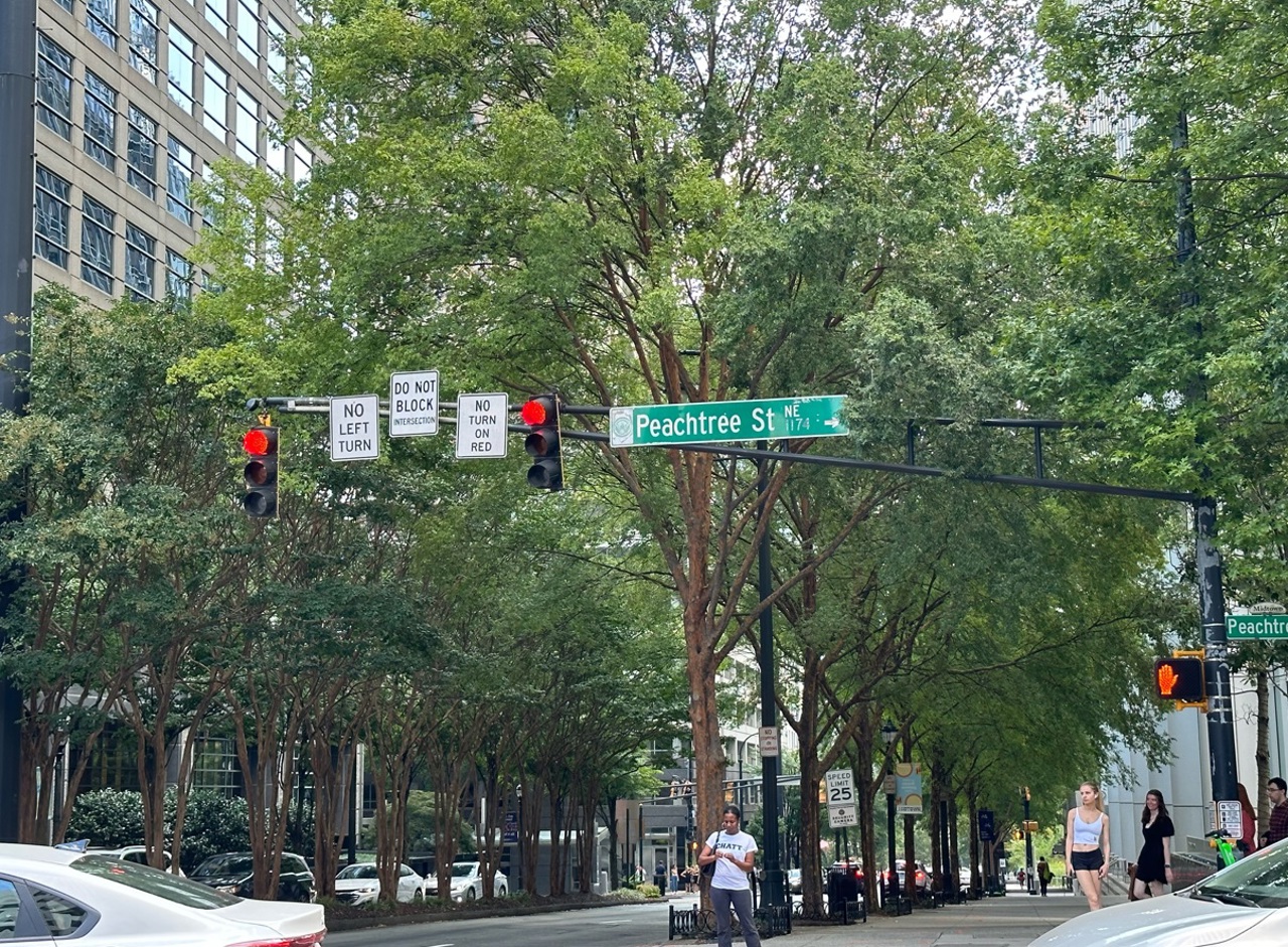 Orașul din SUA care are peste 70 de străzi denumite Peachtree: Piersicul a devenit un simbol datorită gustului deosebit