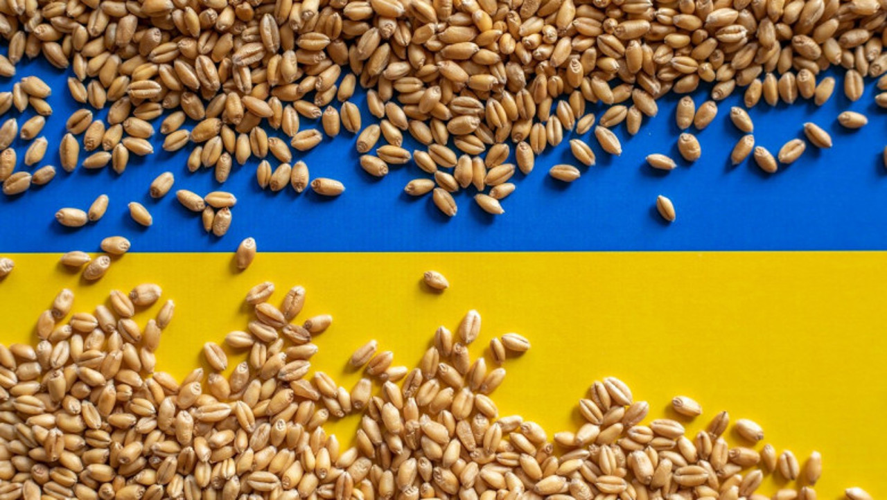 EU ready to move almost all of Ukraine's grain exports via solidarity lanes