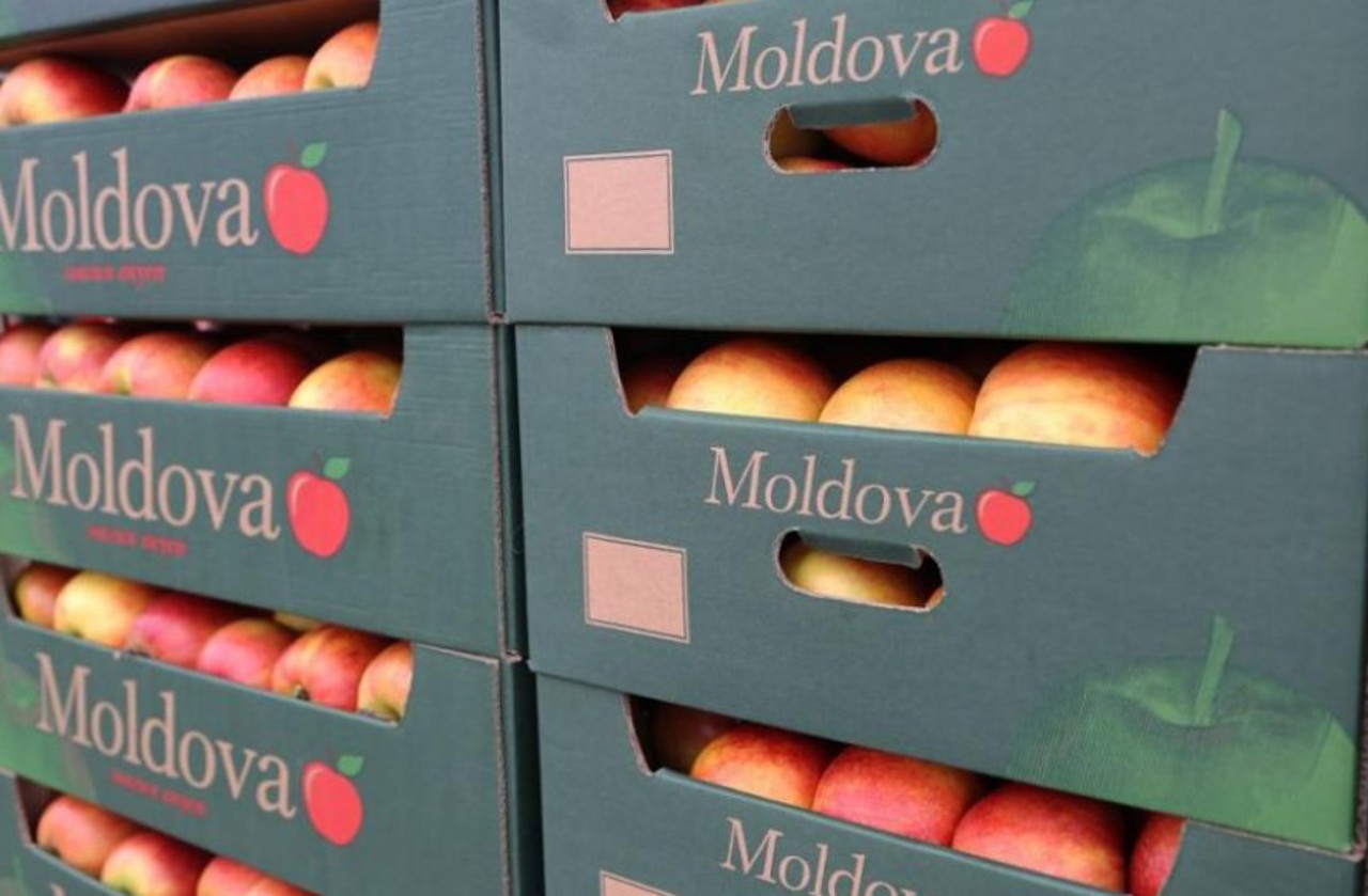 Exporturile R. Moldova versus importuri: Cumpărăm aproape de trei ori mai mult decât vindem