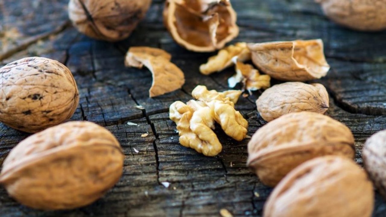 Засуха этого года повлияла на снижение цены на ядра грецких орехов