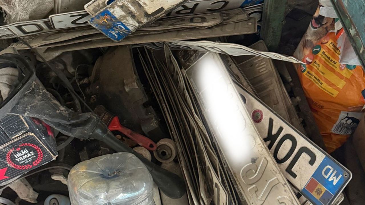 Serviciul Vamal al Republicii Moldova