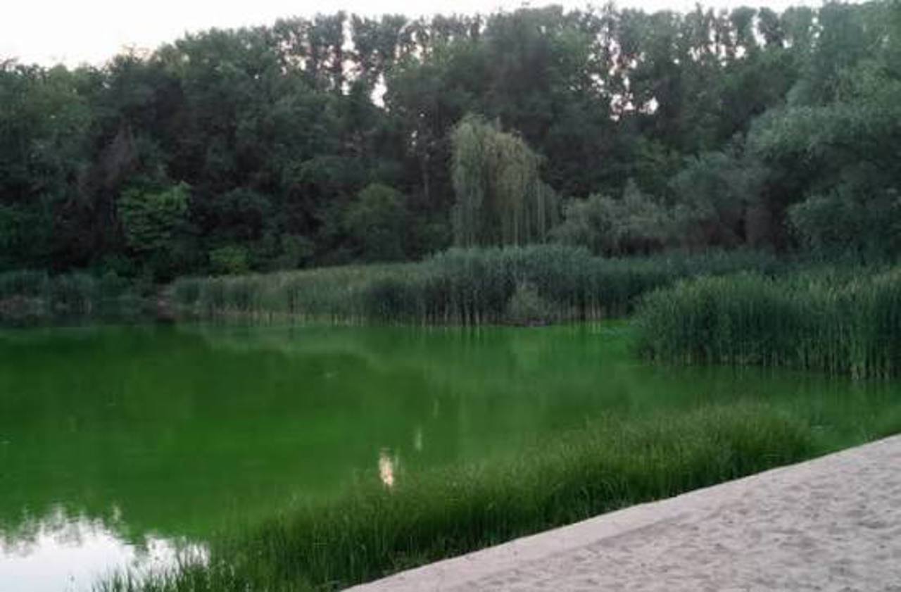 Avarie în sectorul Buiucani: Aproximativ 200 de metri cubi de agent termic s-au revărsat în lacul „La Izvor”