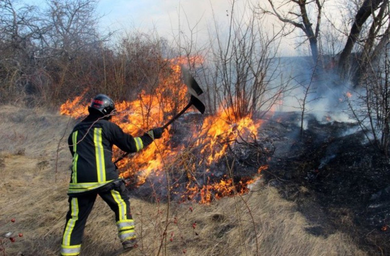 More than 110 hectares of dry vegetation burnt in the last 24 hours