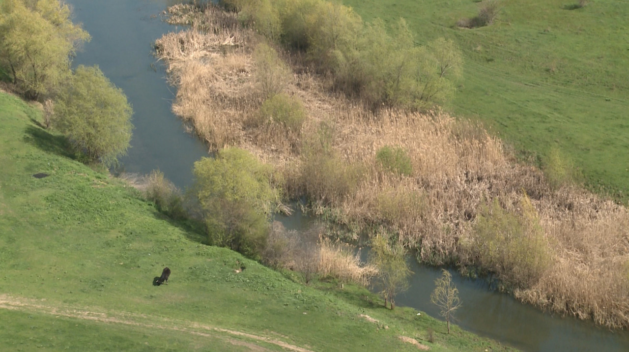 New environmental task force to monitor Moldova 24/7