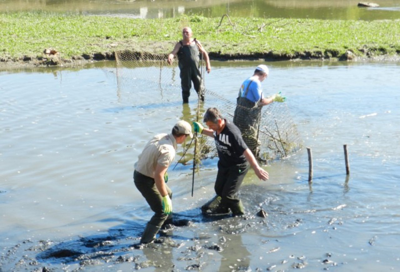 Digurile de protecție împotriva inundațiilor, reconstruite cu 350 de milioane de lei