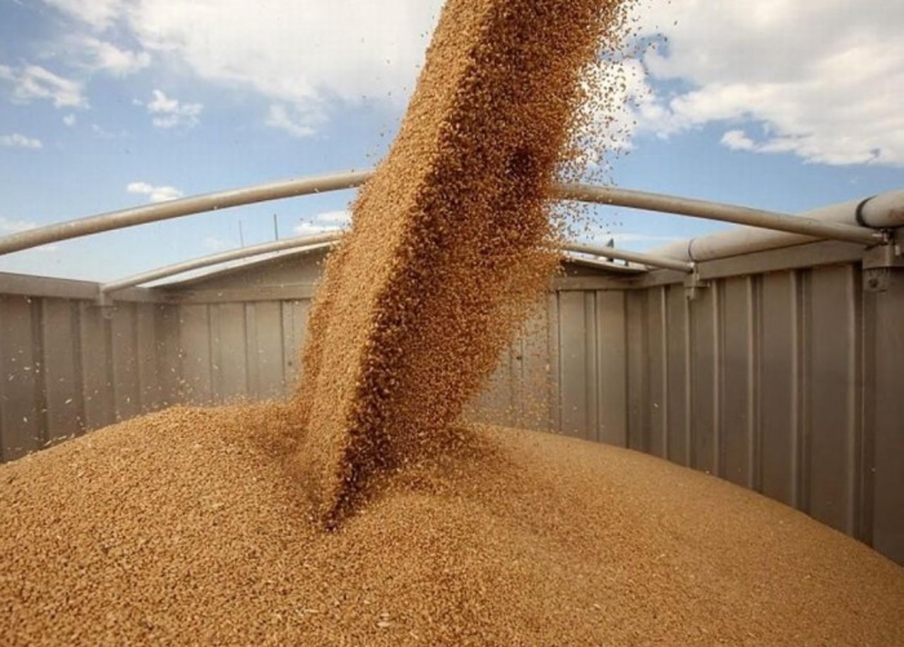 Grain import restrictions extended until year-end