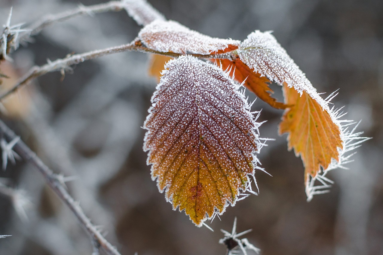 Moldova weather alert: Cold snap, snow, and icy roads ahead