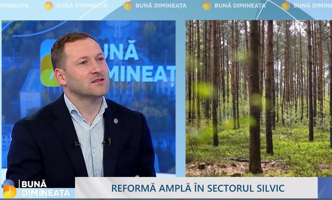 Salarii cu 30% - 50% mai mari pentru pădurari, după reformarea Agenției Moldsilva, anunță ministrul Mediului