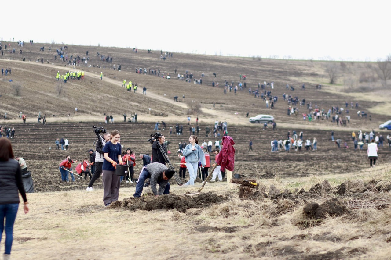 Campania de împădurire din această toamnă demarează pe 15 noiembrie: cetățenii, invitați să participe la plantarea puieților