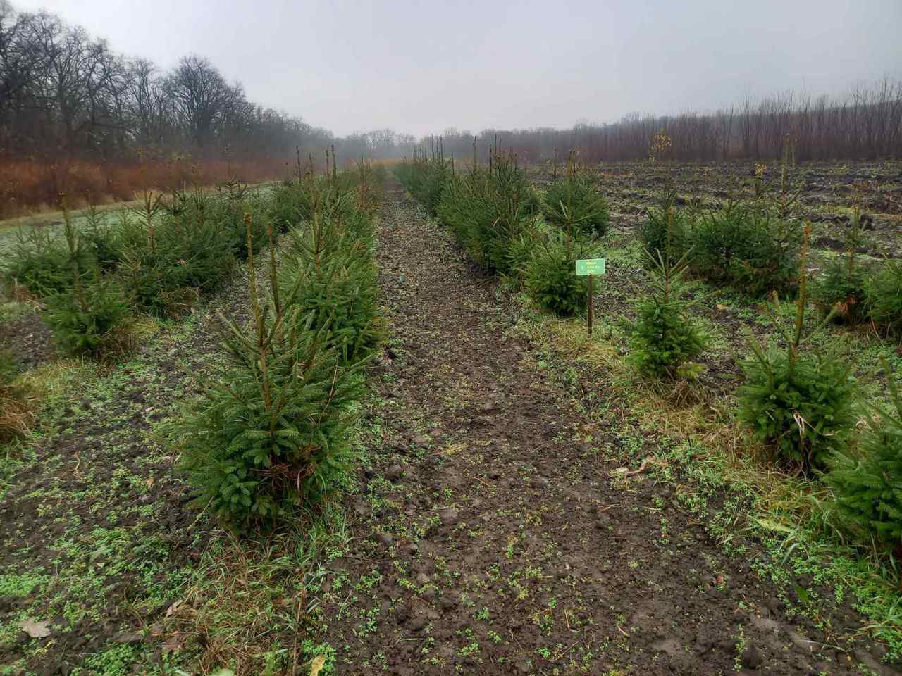 Facebook/Agenția Moldsilva