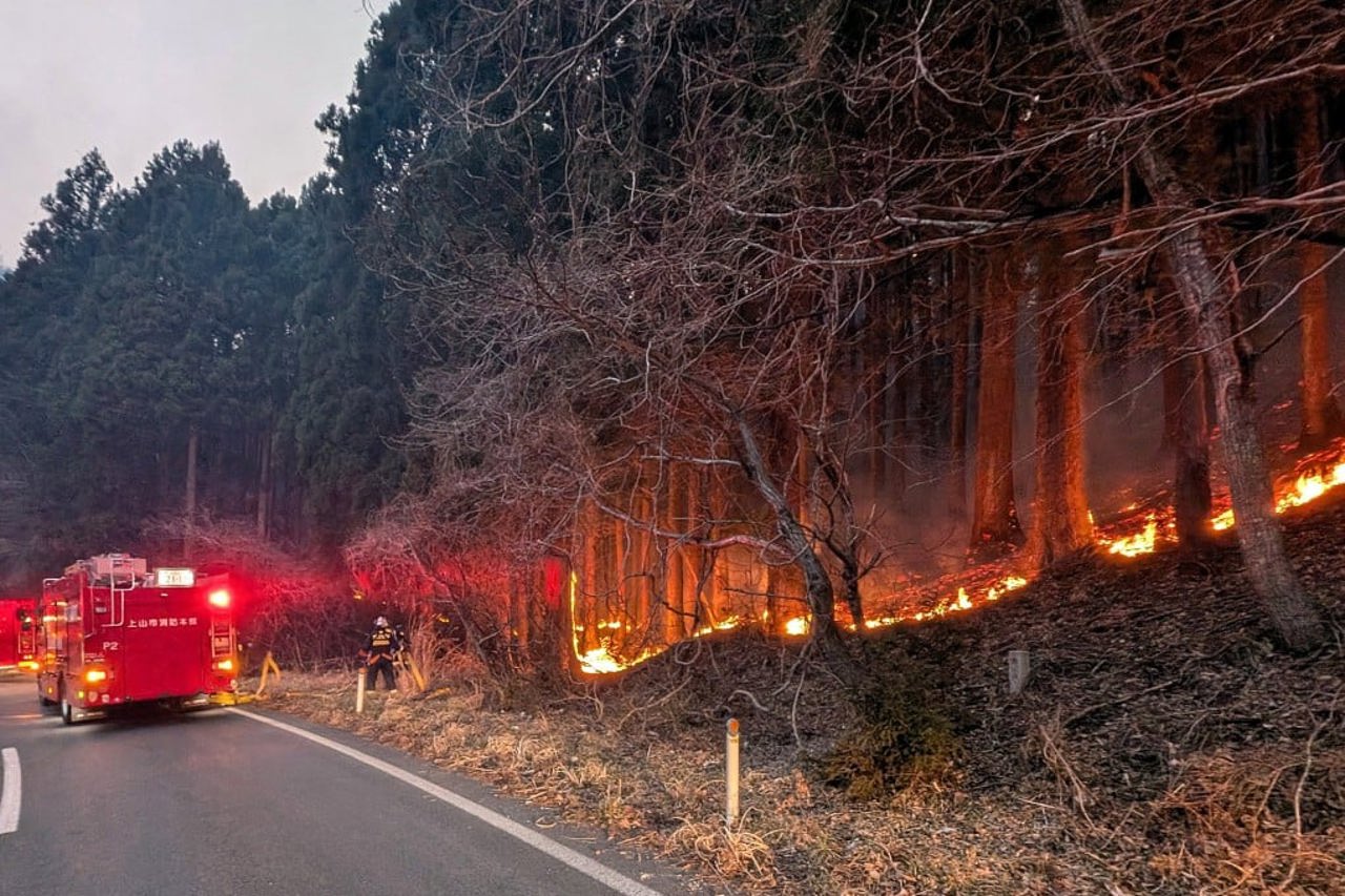 Japonia mobilizează peste 2.000 de pompieri în lupta împotriva incendiilor de pădure