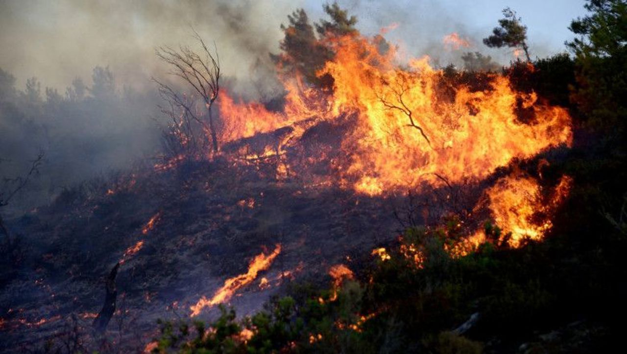 Death toll rises in Greece and Italy, following devastating fires and storms