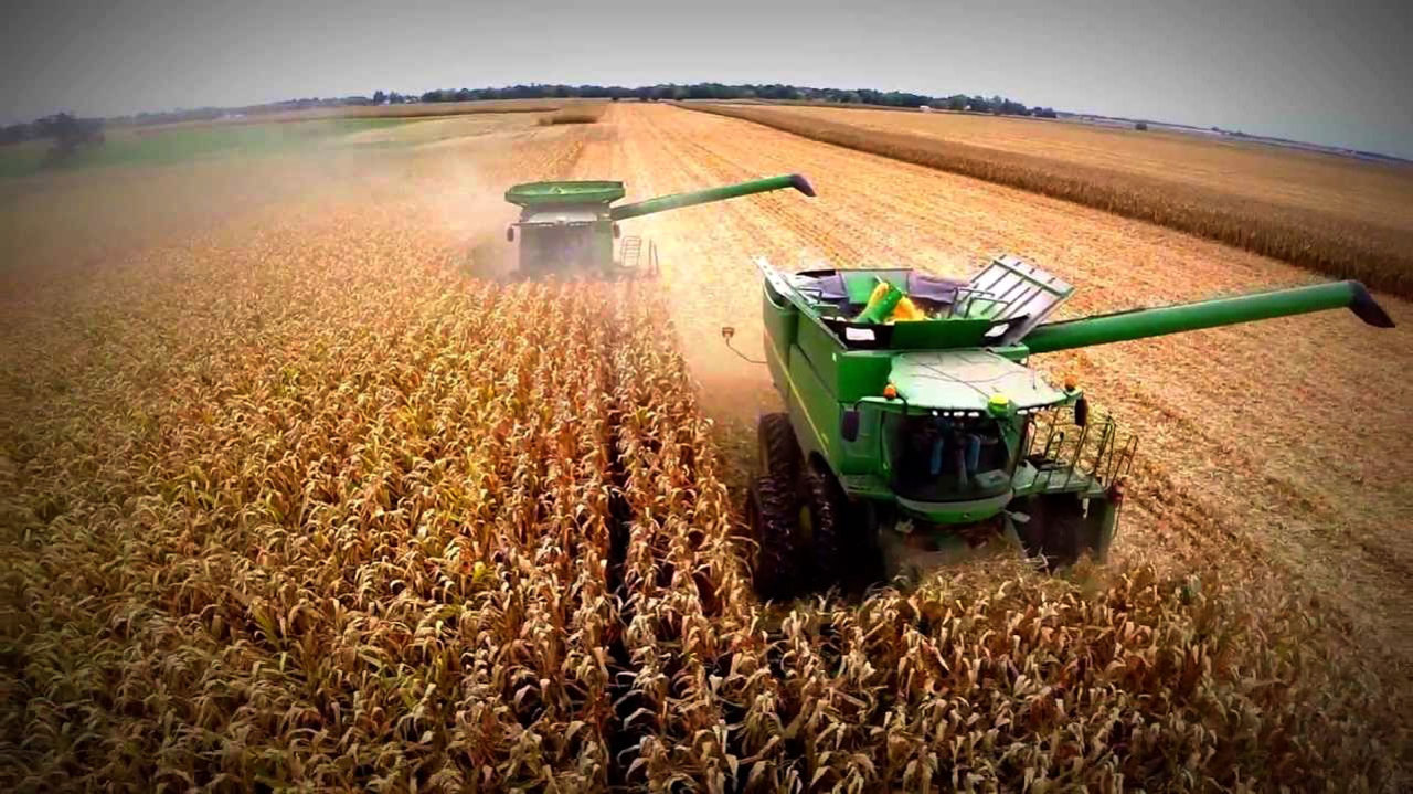 Autoritățile vor efectua un studiu național privind gestionarea riscurilor în agricultură, cu sprijinul experților internaționali 