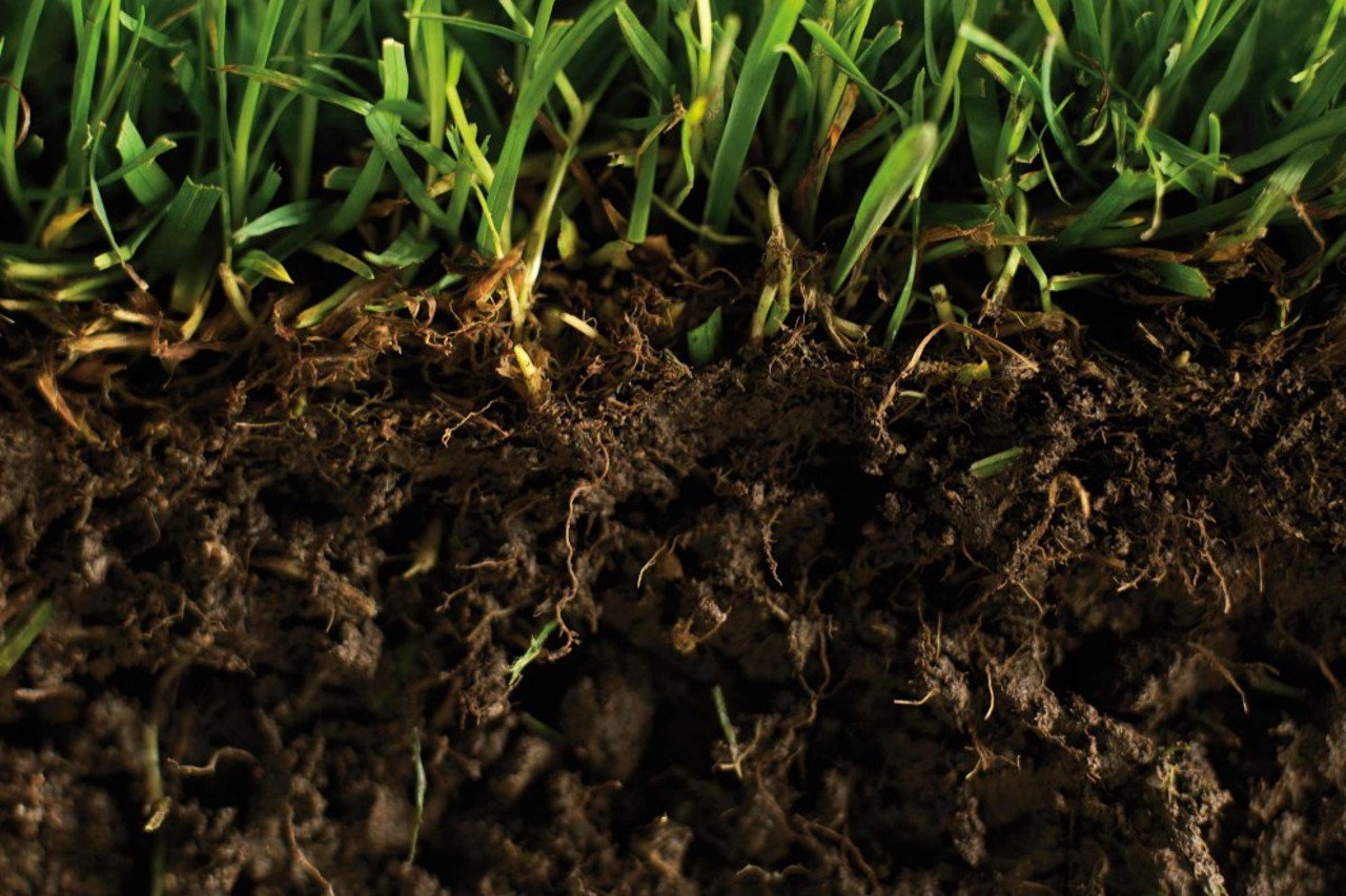 Ziua Mondială a Pământului: R. Moldova deține unele dintre cele mai fertile soluri din lume, dar le pierde prin exploatare incorectă