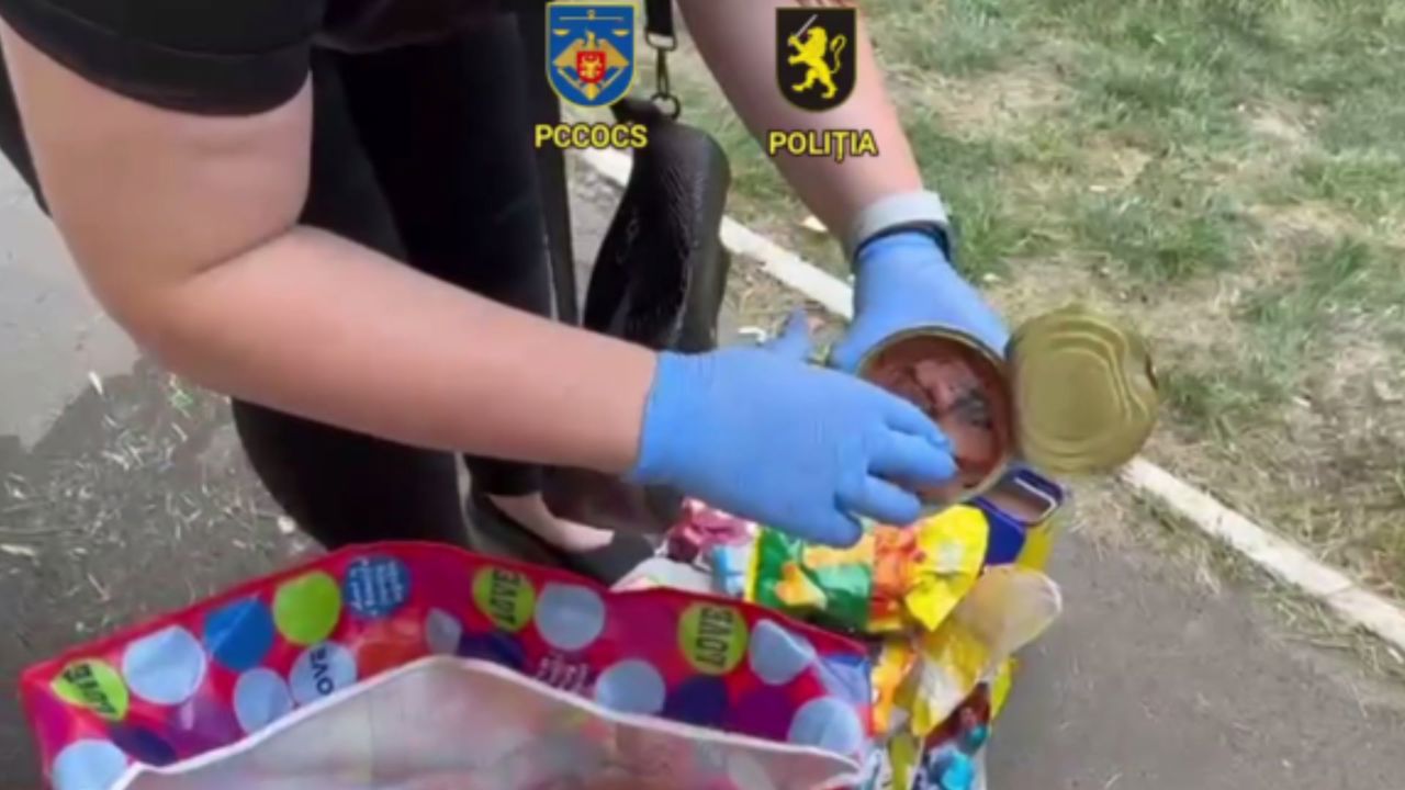 Conserve din Spania, cu „surprize”: Cocaină și hașiș, într-un microbuz care venea din Spania