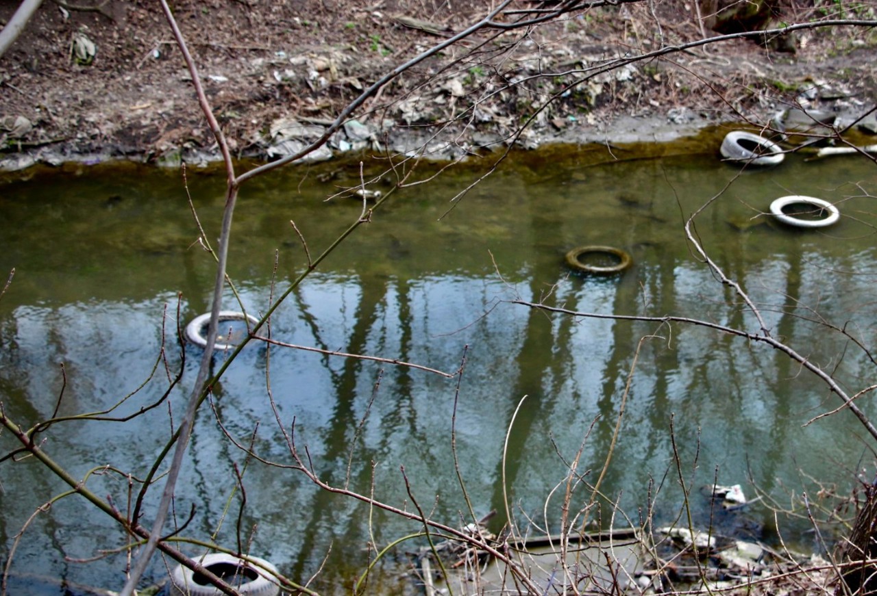 Chisinau City Hall opens international tender for the Bac river rehabilitation