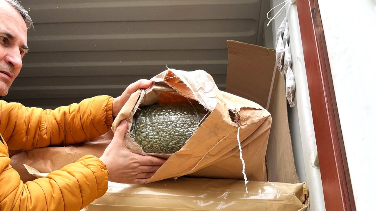 ANSA returns 15 tons of pesticide-contaminated pumpkin seeds to producer