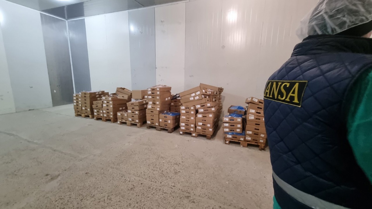 ANSA: Более 70% партии мяса индейки, импортированной из Румынии, изъято из продажи из-за птичьего гриппа