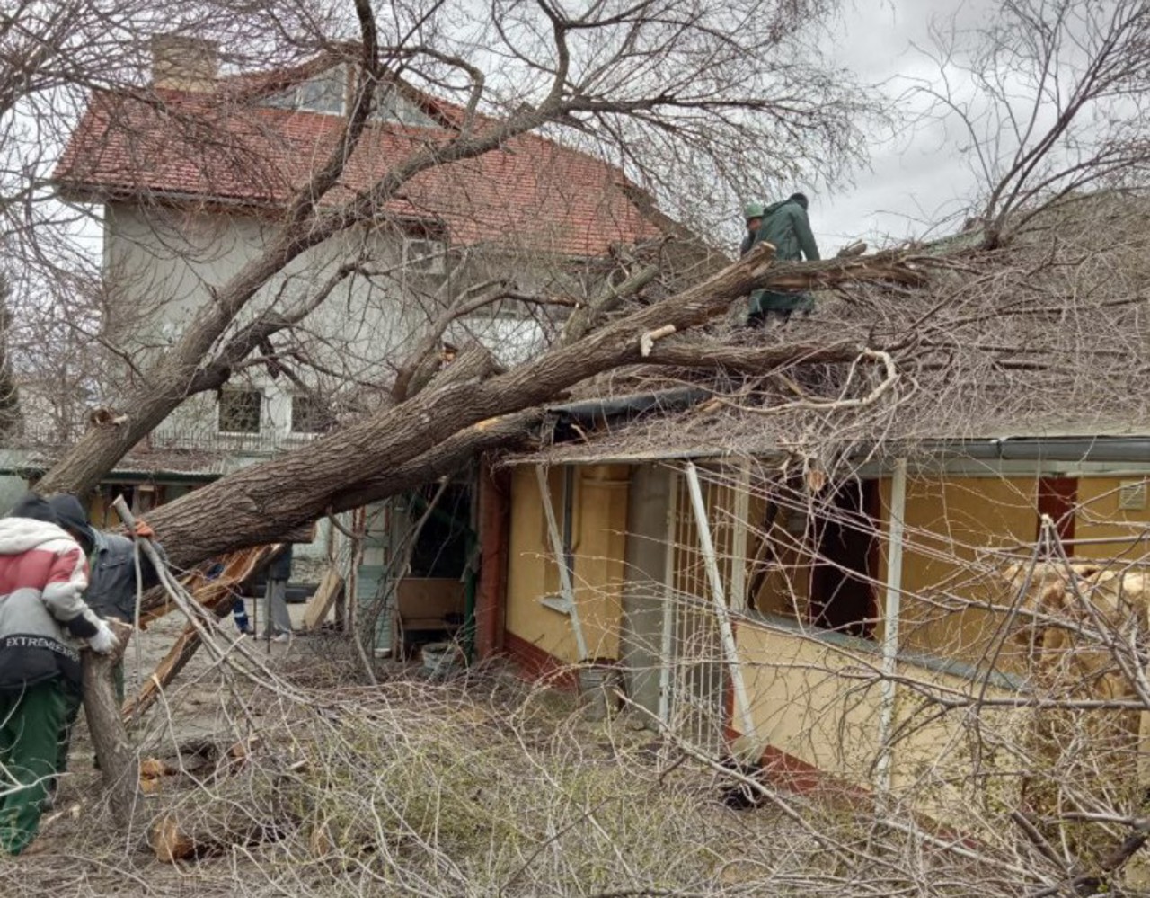 Сильный ветер нанёс ущерб более 20 муниципальным образовательным учреждениям