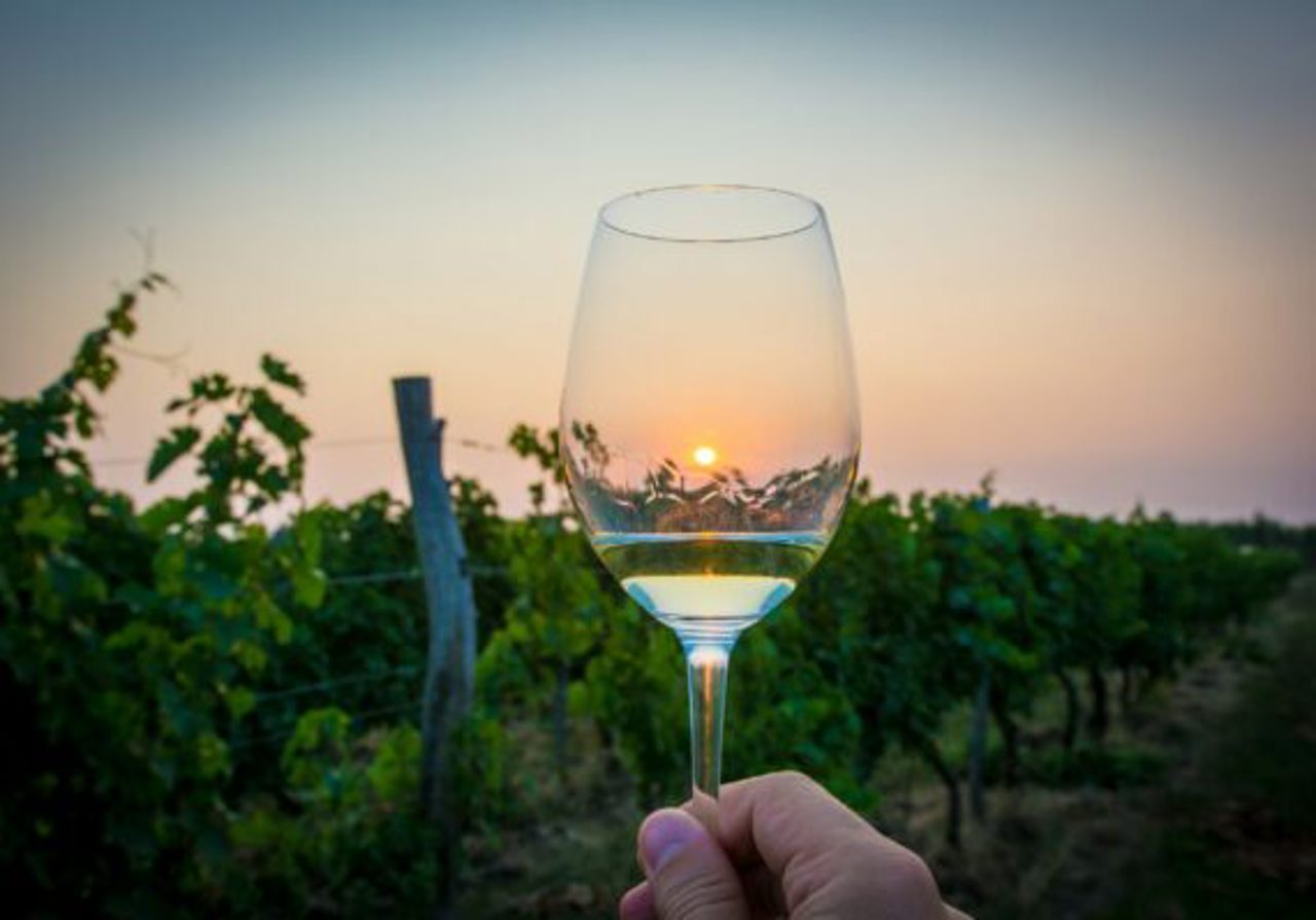 În premieră, în Republica Moldova se va desfășura Congresul Organizației Internațioanle a Viei și Vinului