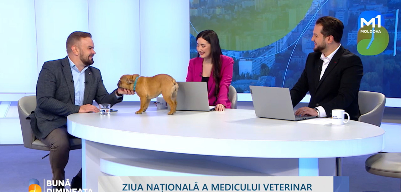 „Nu poți să știi de toate și bine” – medicina veterinară devine tot mai specializată
