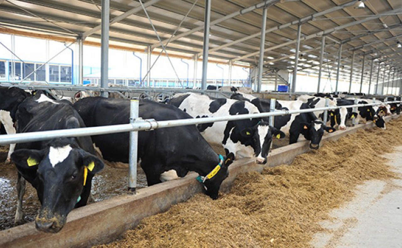 Granturi de până la un milion de dolari pentru fermieri, prin proiectul AGGRI. Cererile pot fi depuse din 2 martie 