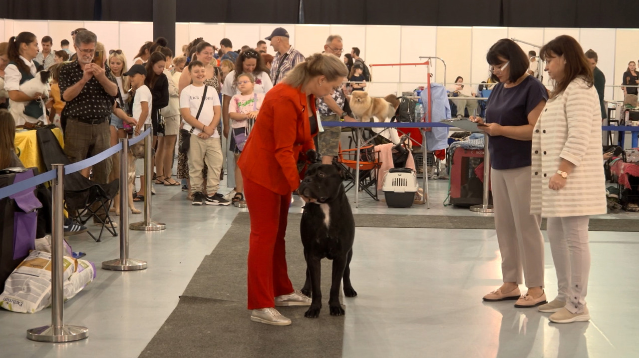 Moldova International Dog Show: Top dogs from across Europe
