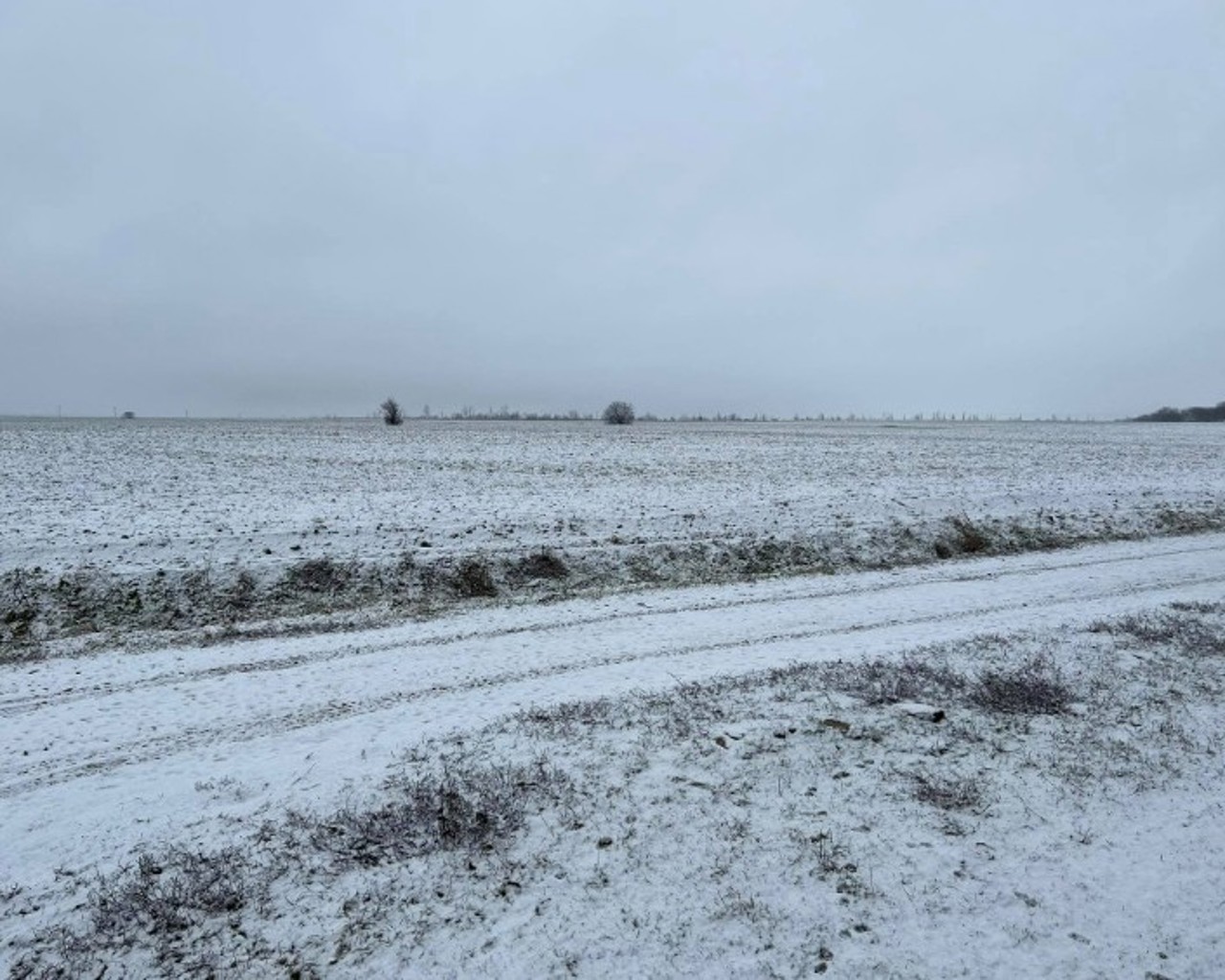 Vasile Șarban, la Radio Moldova: Temperaturile de până la -20 de grade nu au afectat culturile