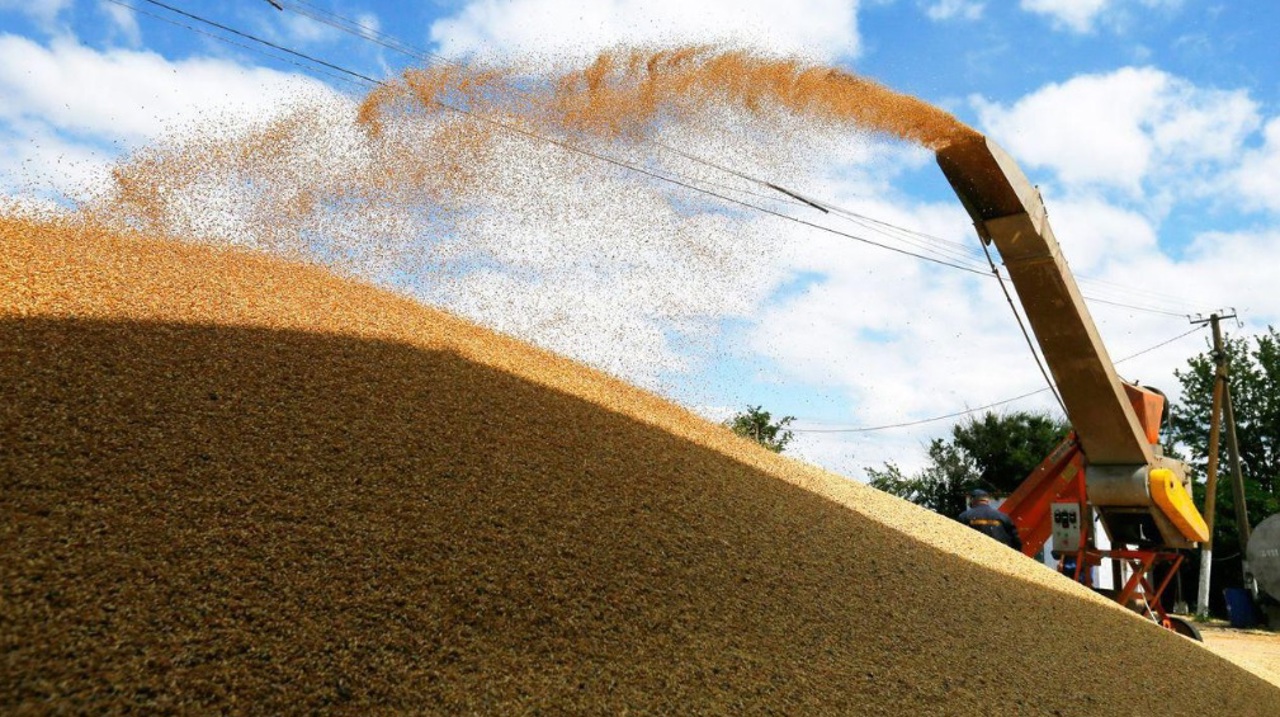 Ukraine rejects Turkey's call to soften grain deal position