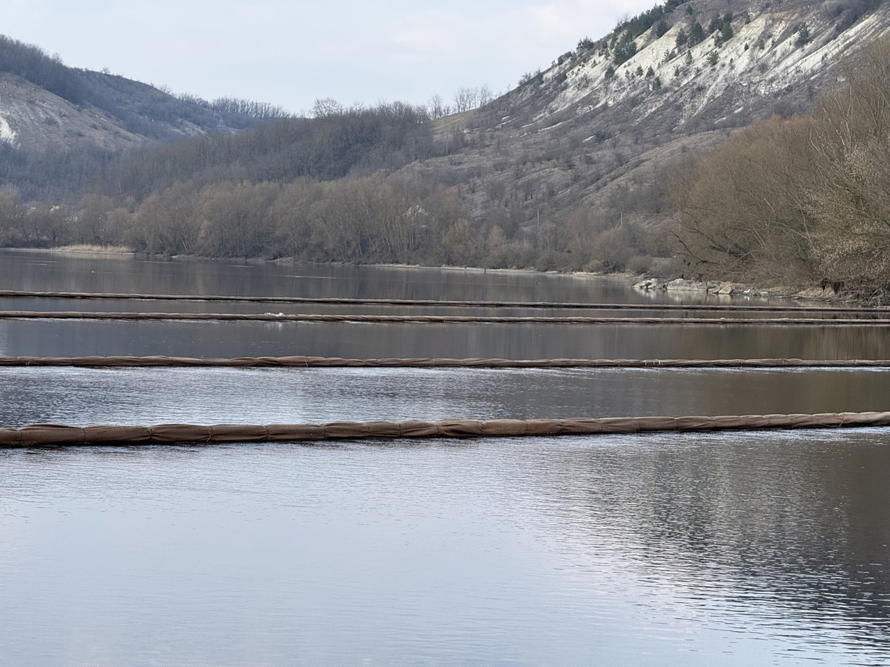 Nistru River remains under high alert as authorities seek international reparations for ecological disaster