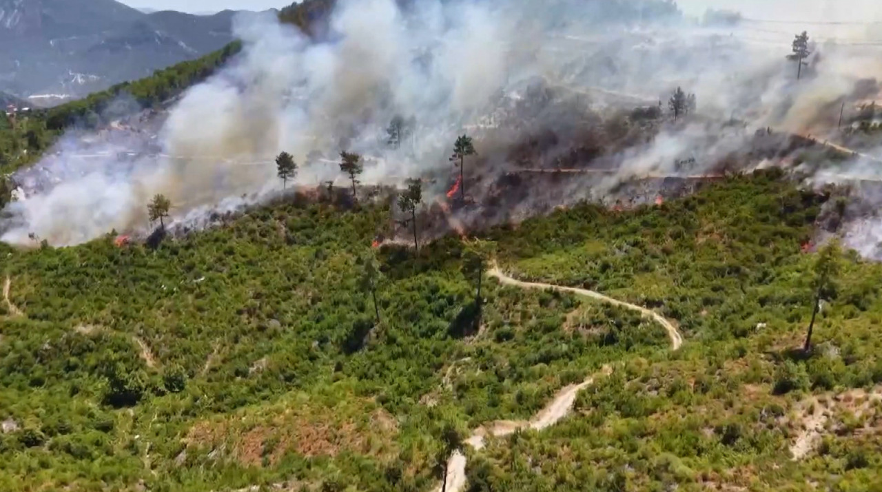 Turkey wildfires: Over 77 blazes erupt amid heatwave
