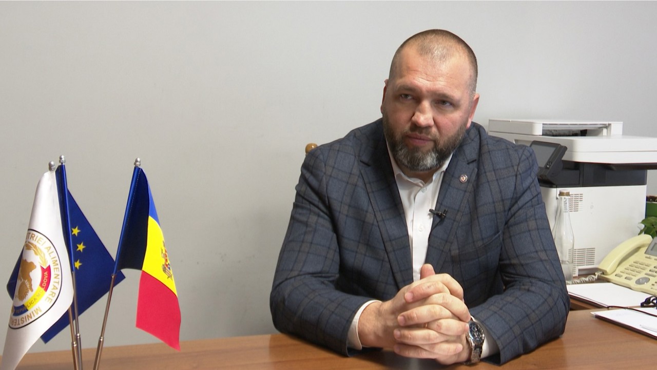 INTERVIU cu secretarul de stat de la Ministerul Agriculturii și Industriei Alimentare, Vasile Șarban: Seceta din 2024, ajutoare pentru fermieri și obiectivele pentru acest an