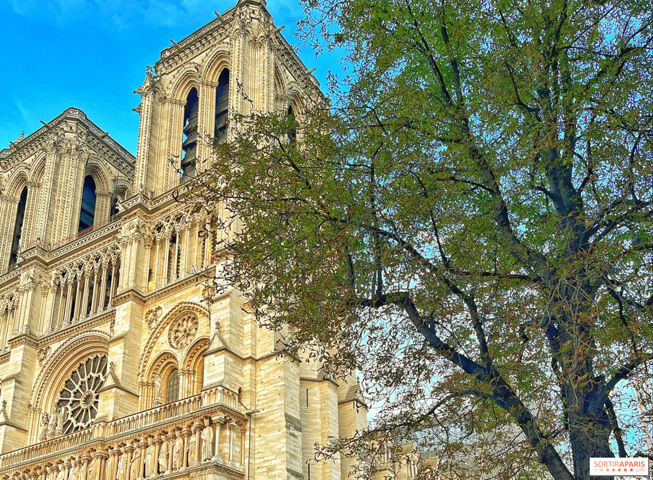 După cinci ani de restaurare, Catedrala Notre Dame de Paris își redeschide porțile în decembrie