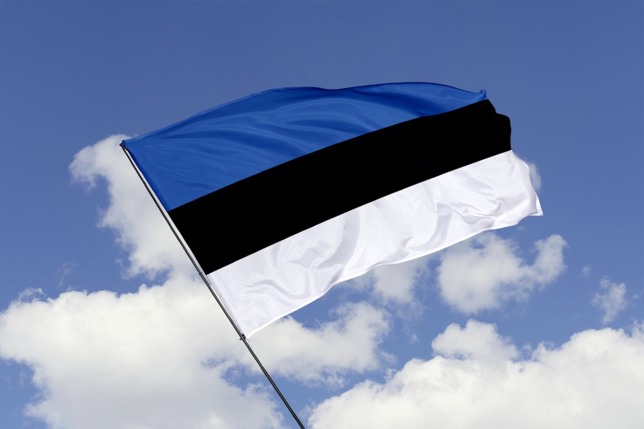 Reforma APL în Estonia, un exemplu de succes, care ar putea fi preluat și de Republica Moldova