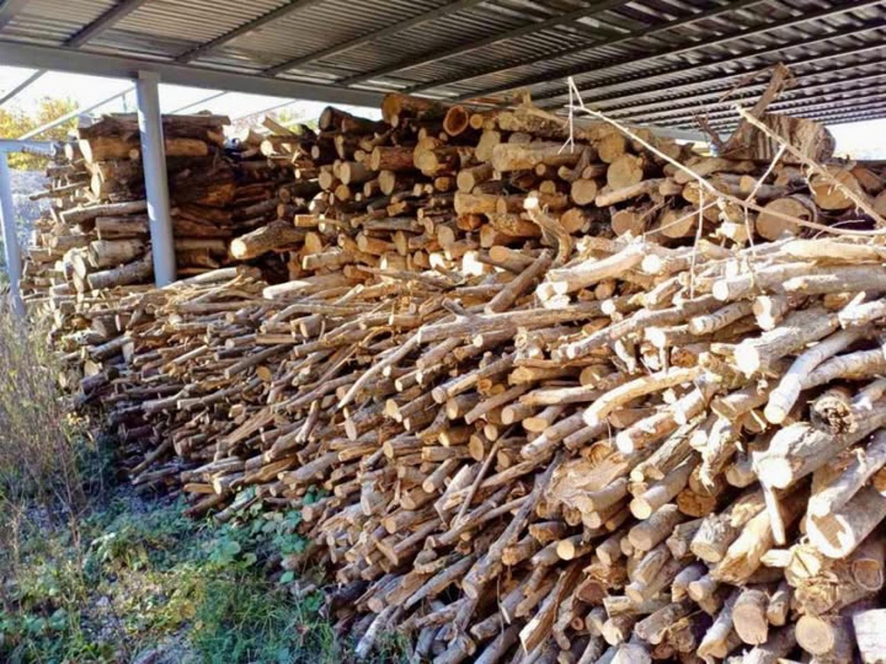 Aeroportul din Chișinău scoate la vânzare masă lemnoasă, după lucrări de curățare a arborilor 