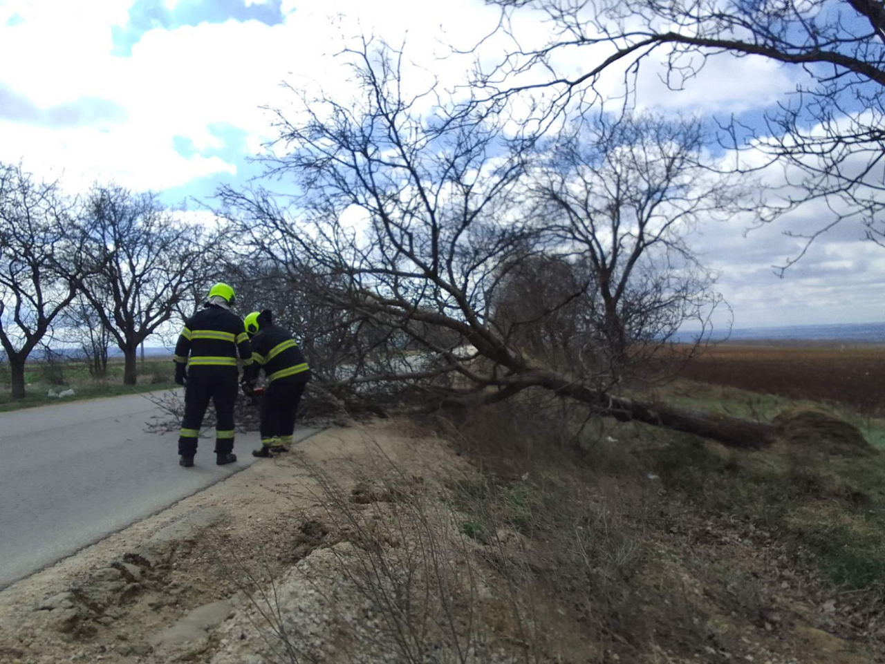 Consecințele vântului puternic: Drumuri blocate de copaci doborâți, pomi căzuți peste mașini și puncte de trecere a frontierei blocate  