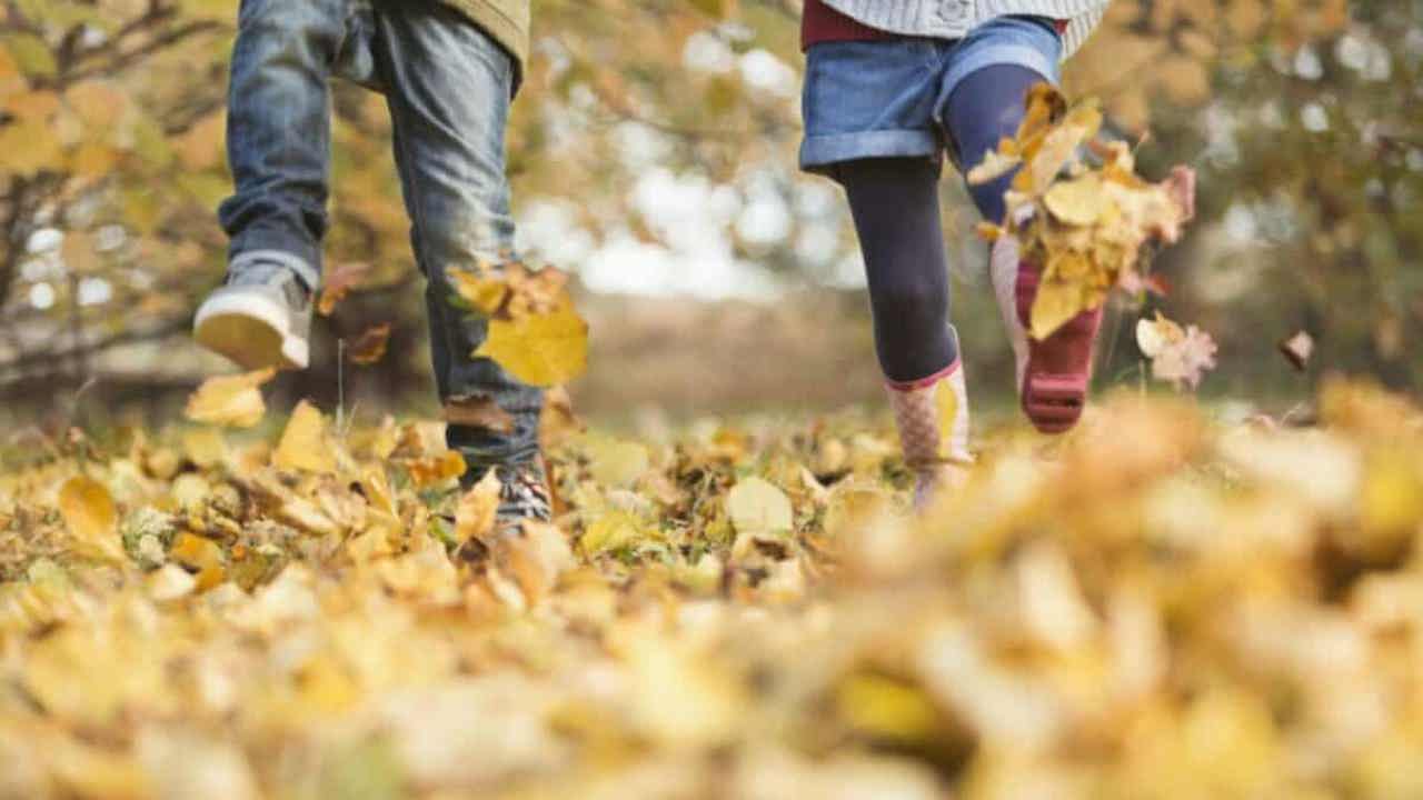Осенние каникулы в Молдове: когда школьники вернутся за парты