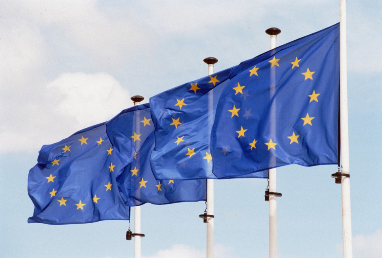 UE salută schimbările politice din Serbia și Brazilia și își exprimă disponibilitatea de a consolida relațiile cu cele două state