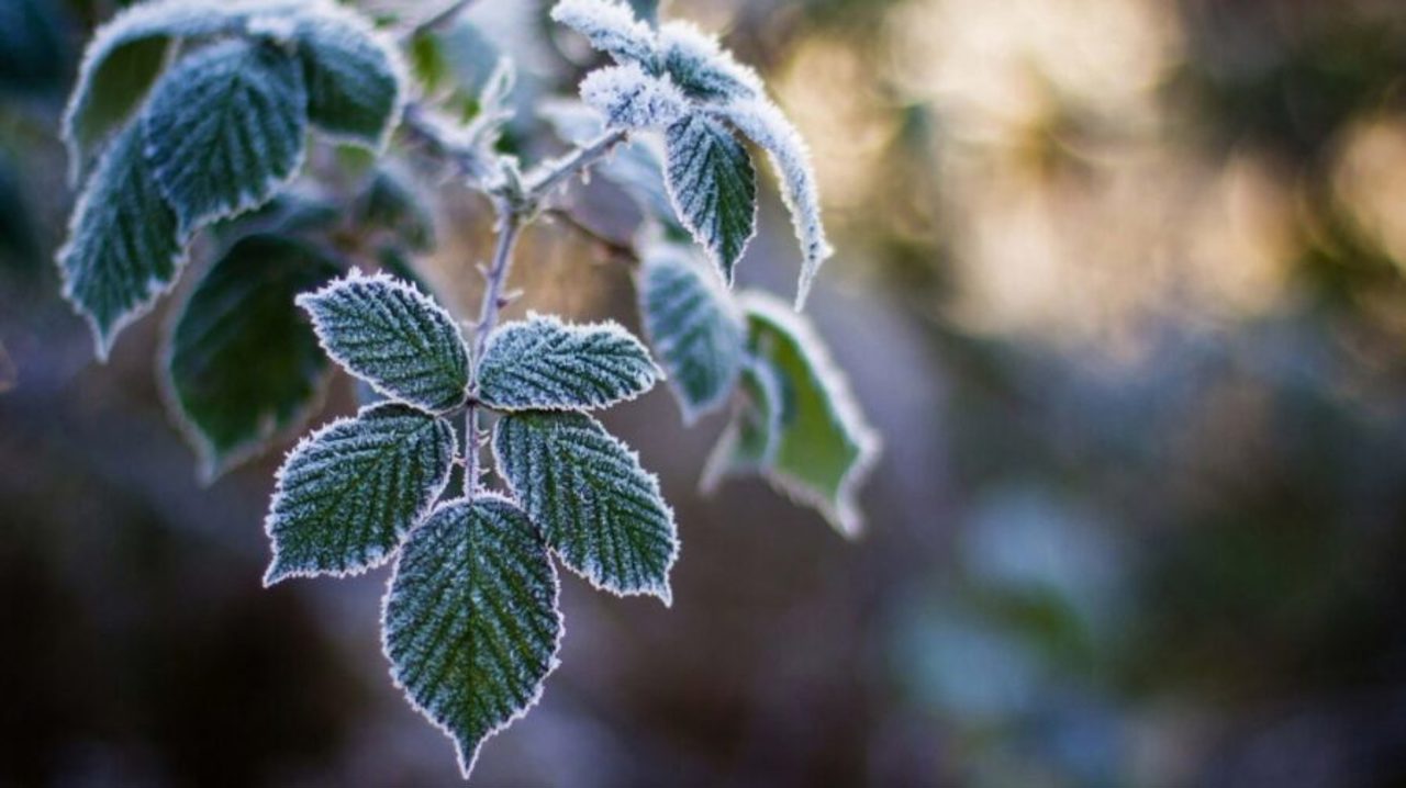 Жёлтый код морозов на всей территории Республики Молдова: Риски и рекомендации