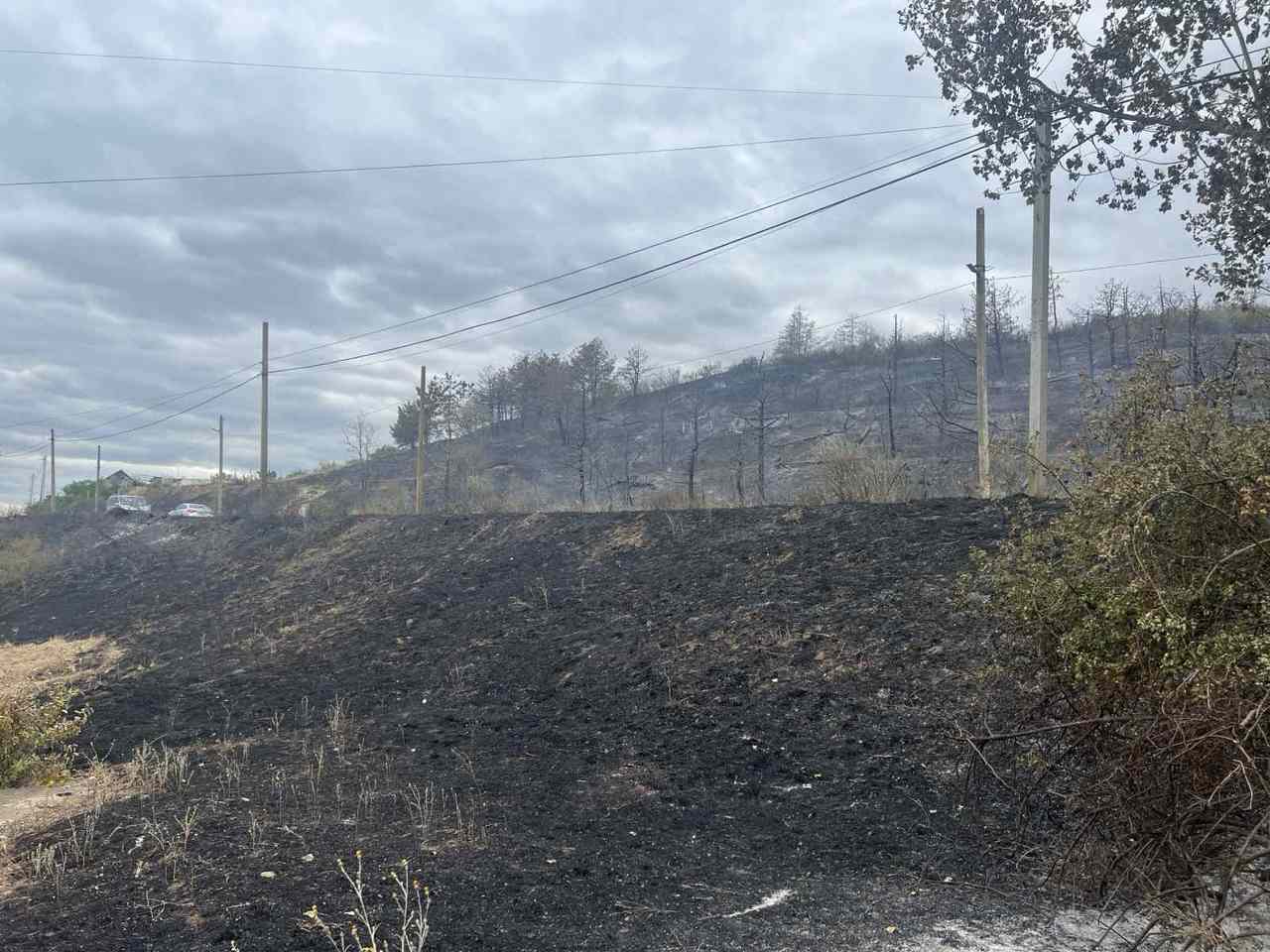 Incendiu la Copanca: circa 10 hectare de vegetație uscată și trei hectare de pădure, mistuite de flăcări