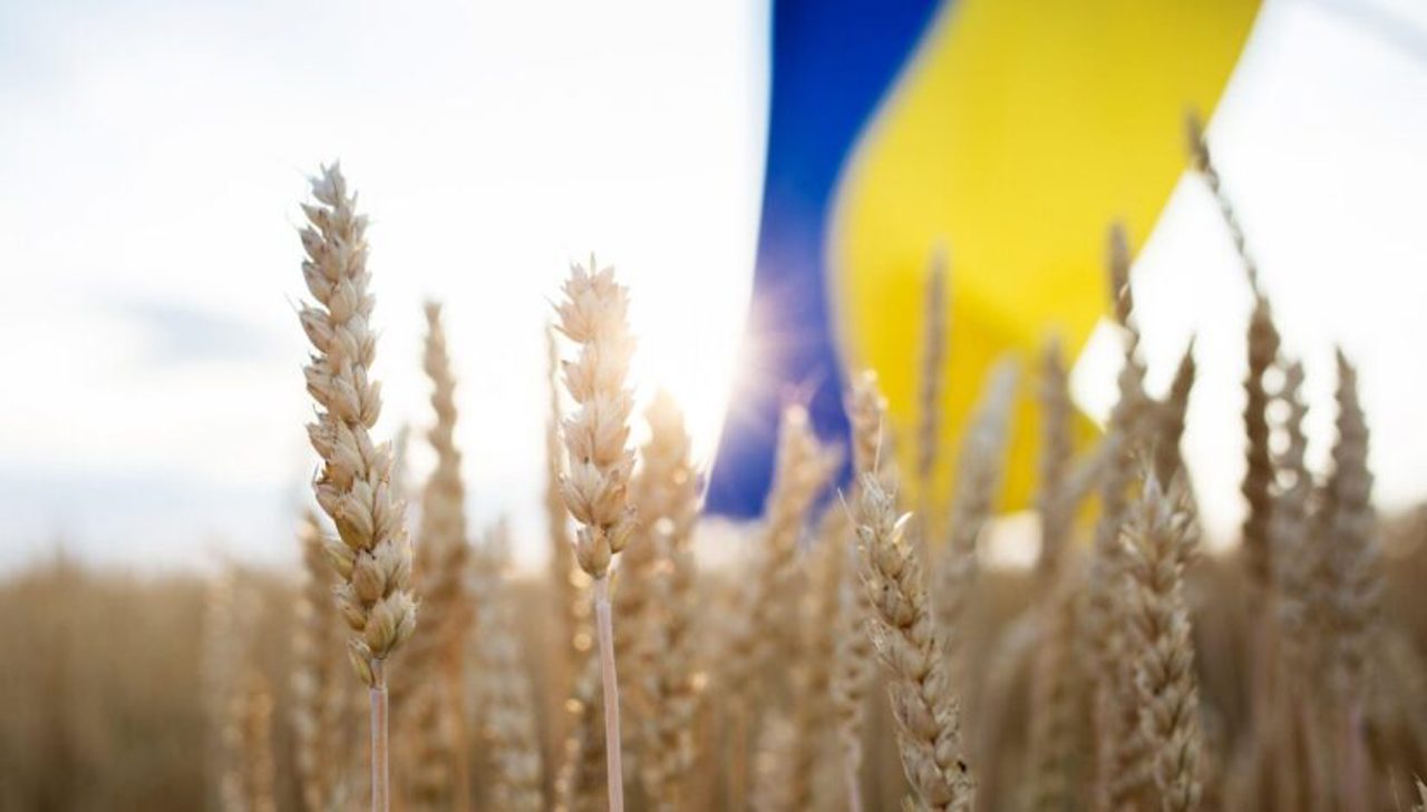 Financial Times: UE este pregătită să impună tarife mult mai mari importurilor ucrainene