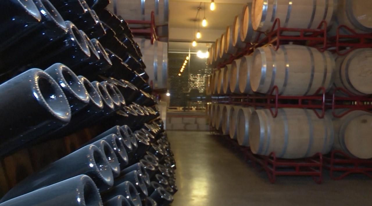 Rusia impunea, acum 20 de ani, primul embargou pentru vinurile din R. Moldova și nu a achitat vinificatorilor noștri peste 300 de milioane de dolari