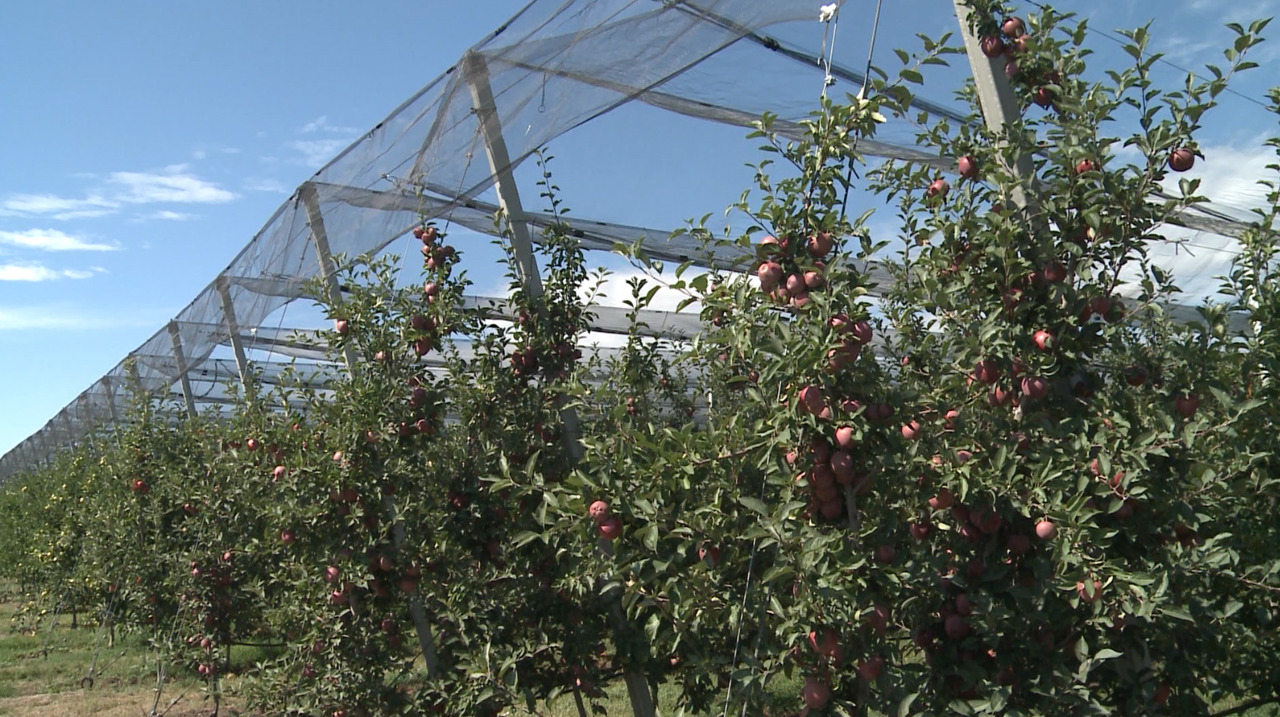 Comisarul european pentru Agricultură: „Moldova are multe de câștigat pe drumul integrării în UE”