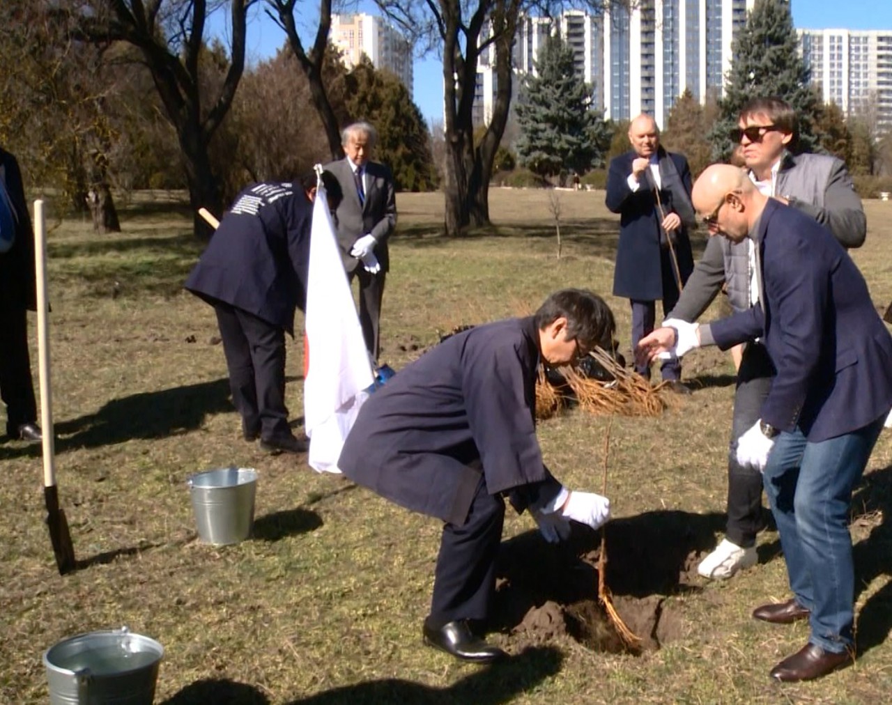 Un om de afaceri din Japonia a plantat o sută de puieți de sakura la Grădina Botanică 